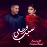 كلمات أغنية سبب فرحتي - احمد سعد واصالة نصري