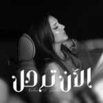 كلمات أغنية الان ترحل - ولاء الجندي