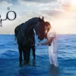 كلمات أغنية مهرة - اسماعيل تمر واوكتاي