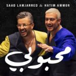 كلمات أغنية محبوبي - سعد لمجرد وحاتم عمور