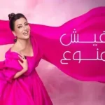 كلمات أغنية مفيش ممنوع - لطيفة