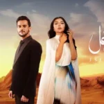 كلمات أغنية طاري الزعل - اصيل هميم وعايض