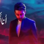 كلمات أغنية أنا أكبر من كلام اللي - فؤاد عبدالواحد