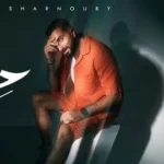 كلمات أغنية حالي - محمد الشرنوبي