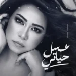كلمات أغنية عسل حياتي - شيرين عبد الوهاب