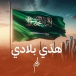 كلمات أغنية هذي بلادي - ادم