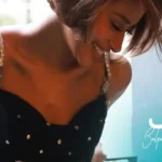 كلمات أغنية ألمح لك - بلقيس
