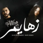 كلمات أغنية زهايمر - كاري احمد وليل المحمدي
