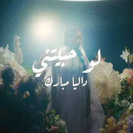 كلمات أغنية لو حبيتني - داليا