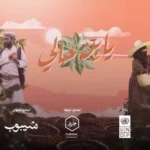 كلمات أغنية يا بن حالي - هاني الشيباني