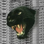 كلمات أغنية مطاط - فوزي
