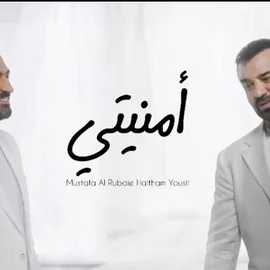 كلمات أغنية امنيتي - مصطفى الربيعي وهيثم يوسف