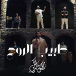 كلمات أغنية طبيب الروح - محمود التركي