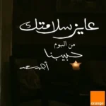 كلمات أغنية عايز سلامتك - احمد سعد