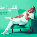 كلمات أغنية قلبي اختارها - محمود الليثي
