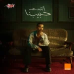 كلمات أغاني ألبوم حبيبنا - احمد سعد