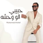 كلمات أغنية حبيبي الو وحشه - مهند خلف