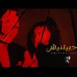 كلمات أغنية ما حبيتنيش - شيرين اللجمي
