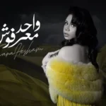 كلمات أغنية واحد معرفوش - سارة هشام