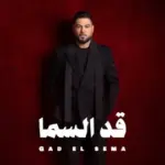 كلمات أغنية قد السما - وليد الشامي