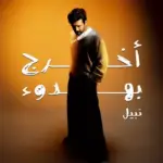 كلمات أغنية أخرج بهدوء - نبيل