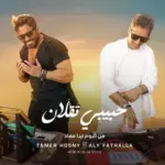 كلمات أغنية حبيبي تقلان - تامر حسني