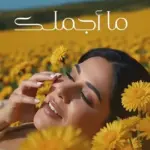 كلمات أغنية ما أجملك - نوال الكويتية