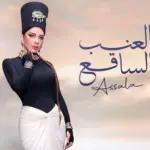 كلمات أغنية العنب الساقع - اصالة نصري