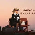 كلمات أغنية كان ليك وحشة - نوال الزغبي