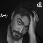 كلمات أغنية واحشني يابن اللذينة - تامر حسني