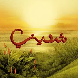 كلمات أغنية شديني - توو ليت