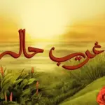 كلمات أغنية غريب حالي - توو ليت