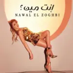 كلمات أغنية إنت مين - نوال الزغبي