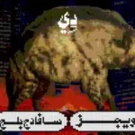 كلمات أغنية دي - ويجز