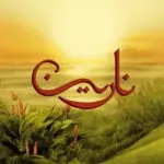 كلمات أغاني ألبوم نازلين - توو ليت