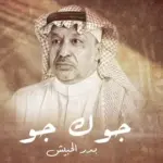 كلمات أغنية جوك جو - بدر الحبيش