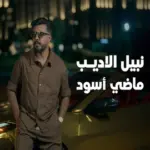 كلمات أغنية ماضي أسود - نبيل الاديب
