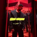 كلمات أغنية يا مهيوب - سيف نبيل