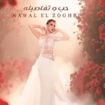 كلمات أغنية حب وتفاصيله - نوال الزغبي