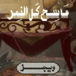 كلمات أغنية ماسح كل النمر - ويجز وسامي شبلاق
