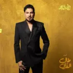 كلمات أغنية مستوره - وليد الشامي