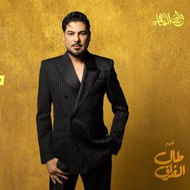 كلمات أغنية مستوره - وليد الشامي