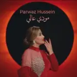 كلمات أغنية مودي عالي - برواس حسين