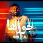 كلمات أغنية جوزها - احمد سعد