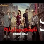 كلمات أغنية حب الحب - محمود العسيلي وحوده بندق