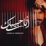 كلمات أغنية أنا حبيبك - حمزة المحمداوي