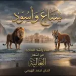 كلمات أغنية إرفلي يا بوظبي - راشد الماجد