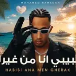 كلمات أغنية حبيبي أنا من غيرك - محمد رمضان