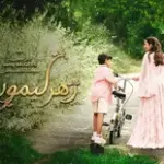 كلمات أغنية زهر ليمون - بلقيس