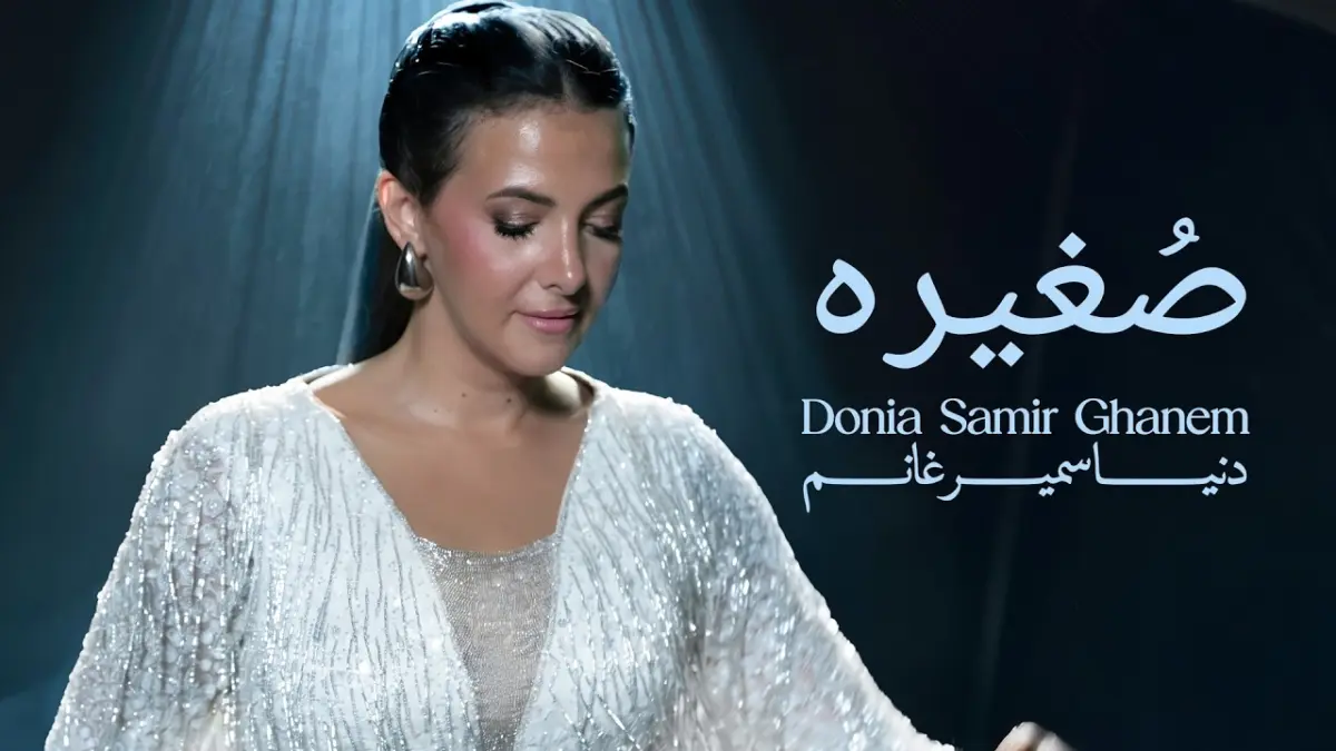 كلمات أغنية صغيرة - دنيا سمير غانم